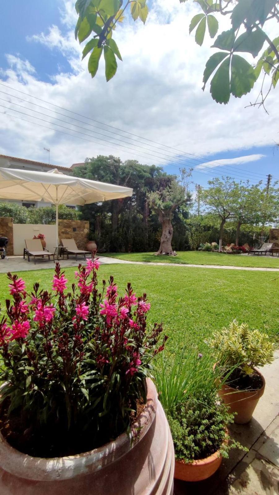 נאה פוטידאה Coel Luxury Suites By Rentalspro Services - Potidea Halkidiki מראה חיצוני תמונה